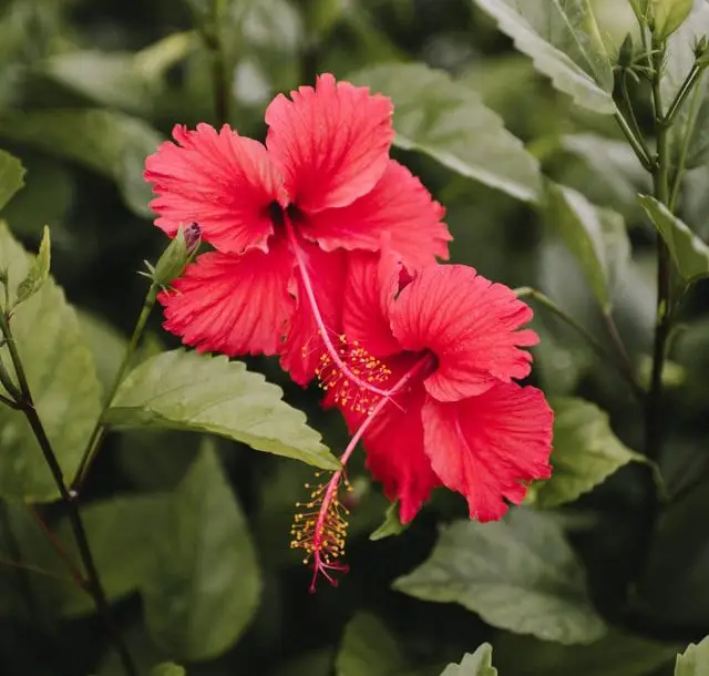 Il Racconto dei… Racconti Green