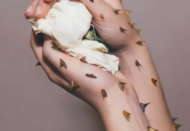 Antithesis | Trend di Stagione