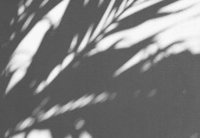 Aesthetic essentials