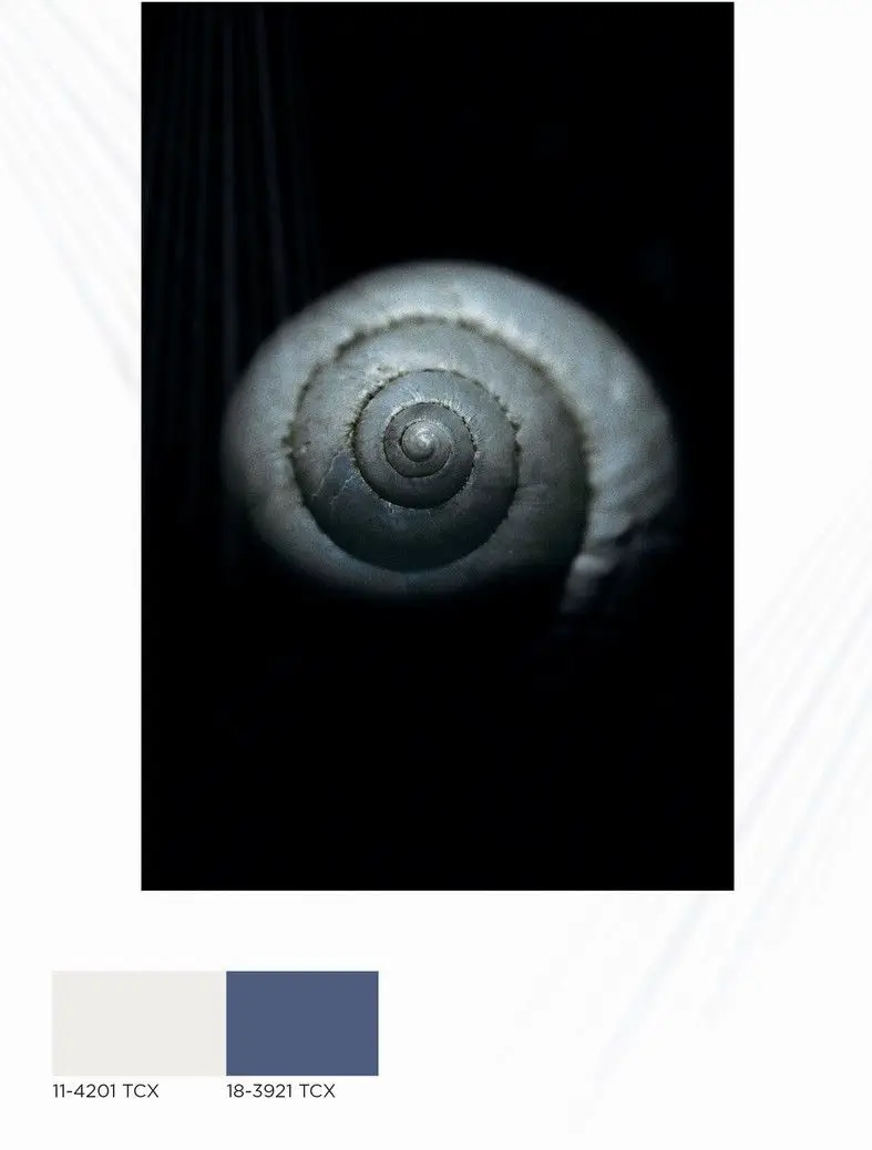 foto di chiocciola su sfondo nero e colori con codici pantone