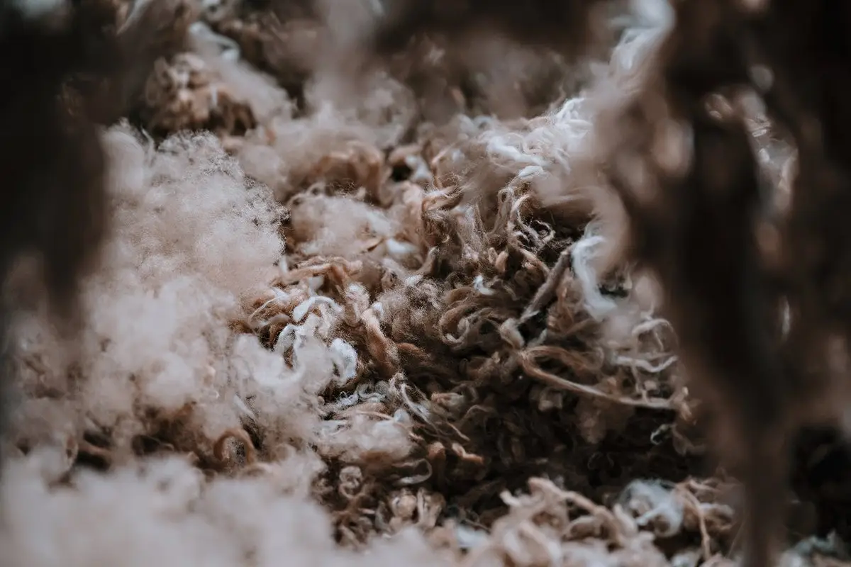 Lanificio Bottoli: il futuro leggero dell’eleganza italiana