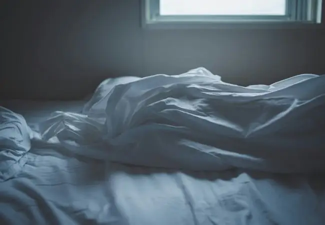 Insomnia | Trend di Stagione