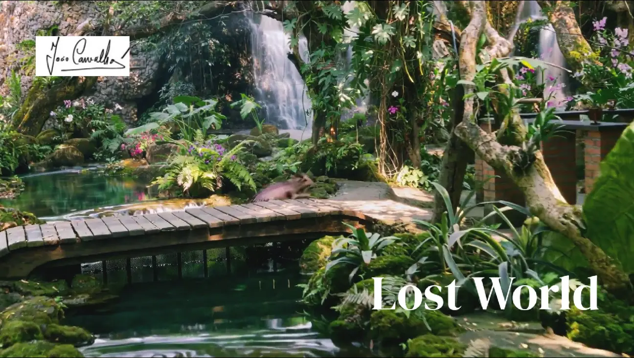 Lost world