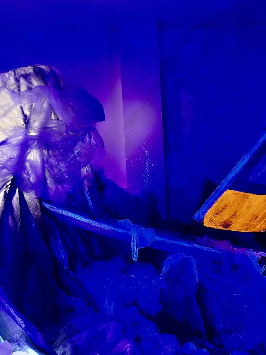 Filomena Guzzo presenta Under-Wear