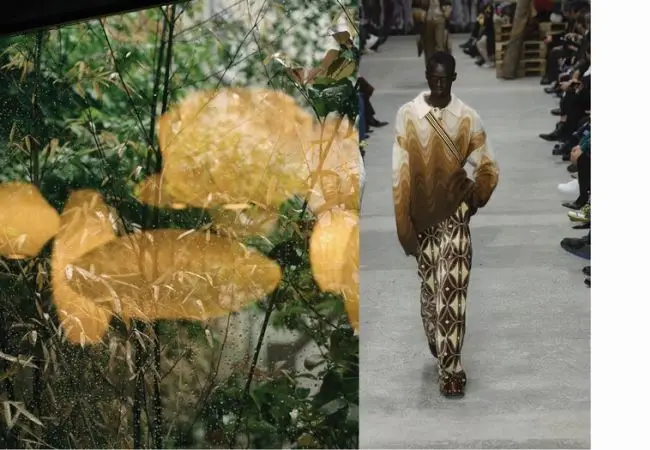 Pattern naturali | Etro