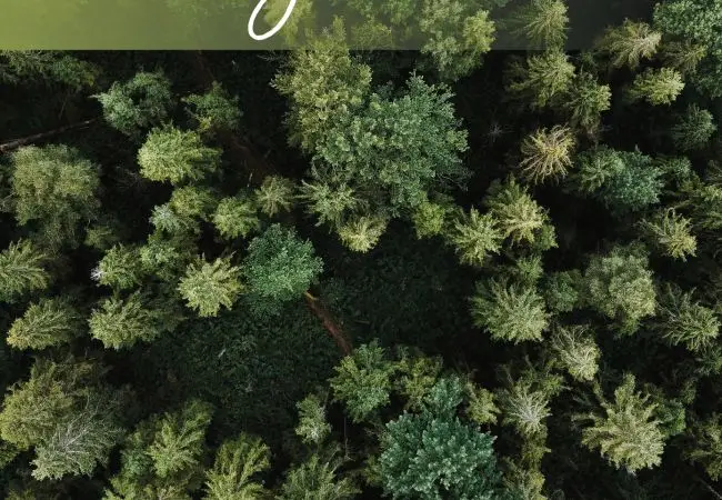 The Materials’ Green Book #04