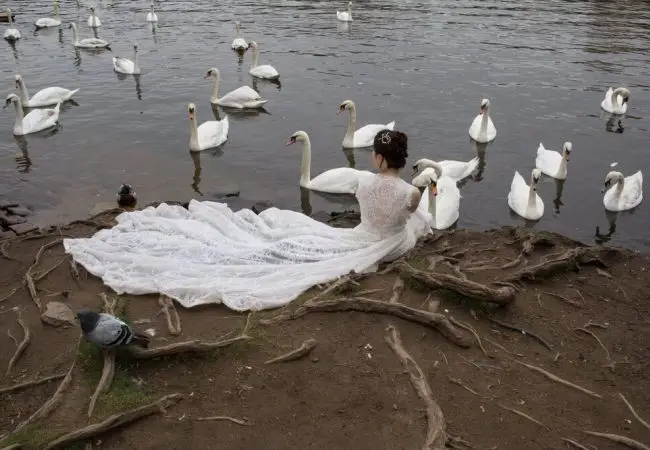 Dimitris Makrygiannakis