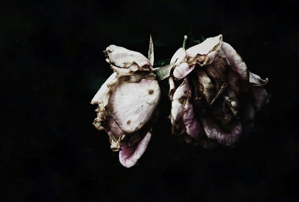 Dark romance