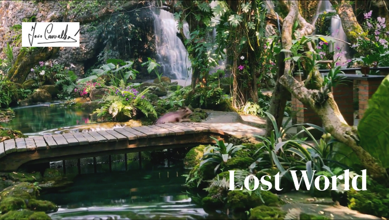 Lost world