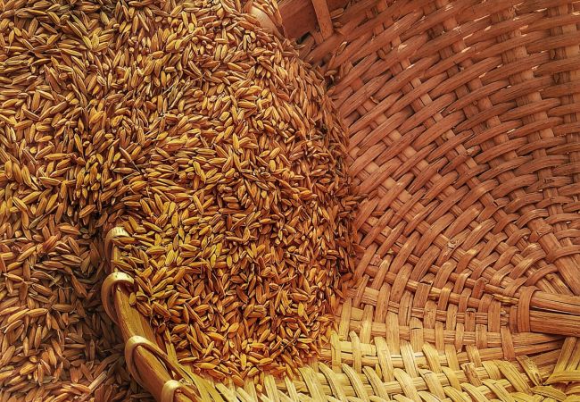 June harvest