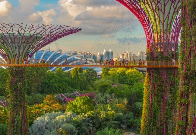 Giardini verticali di Singapore