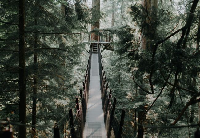 Trails