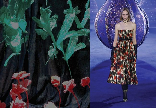 notturno | dior