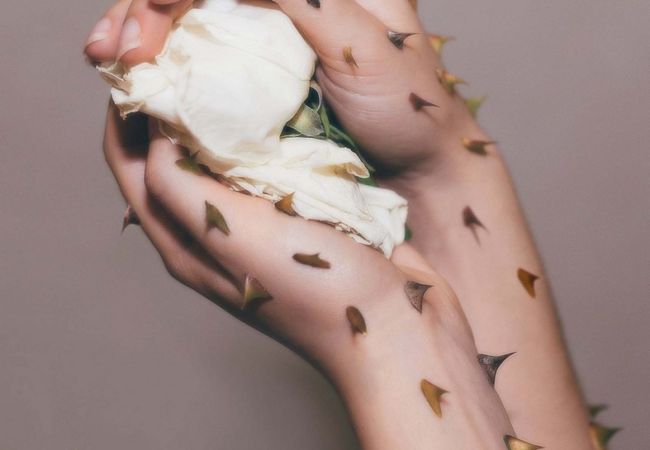 Antithesis | Season Trends