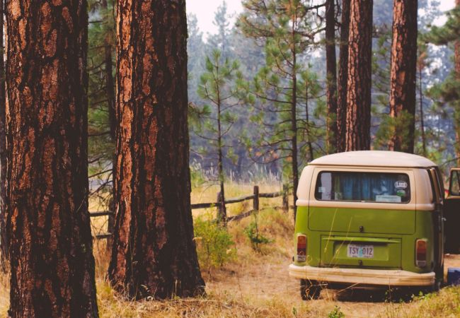 Summer Adventure