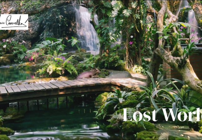 Lost world