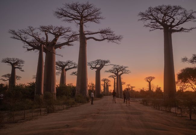 Verso Antananarivo