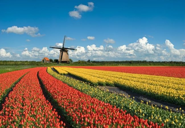 Keukenhof – The Netherlands