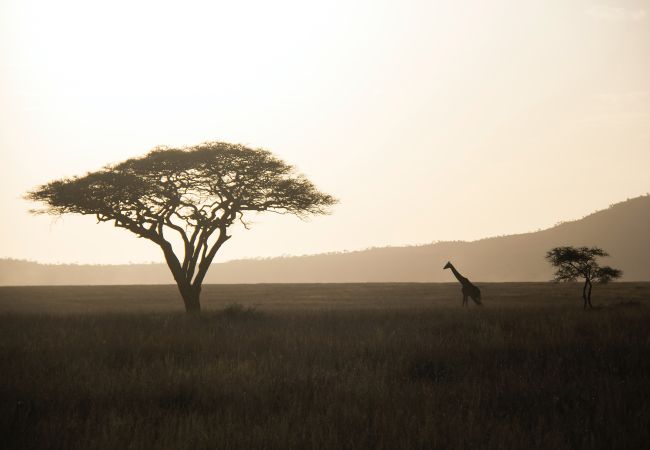 South Africa