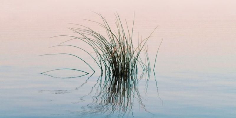 Eco Wave