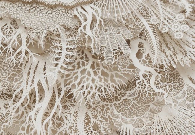 lace lab