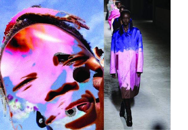 psychedelic auroras | <br> dries van noten