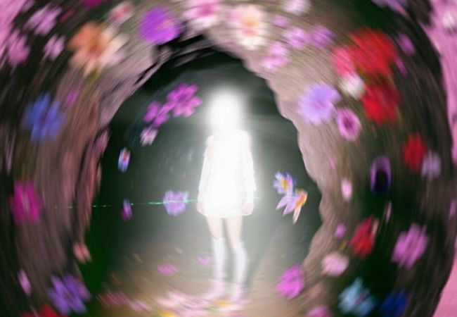 Synthetic Eden | Season Trends