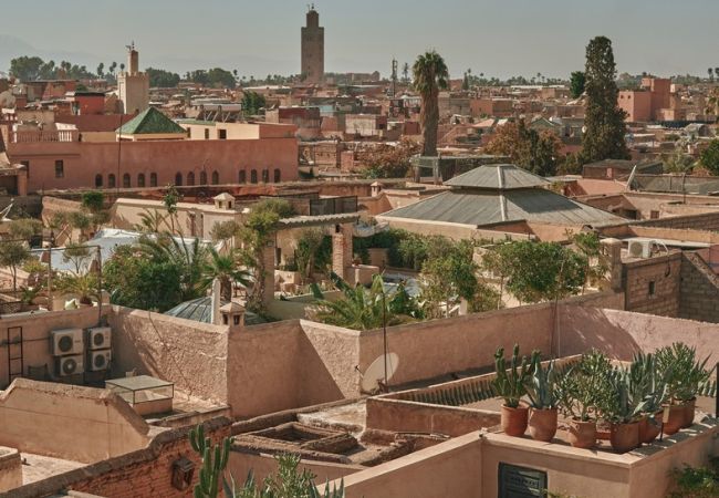 Piante urbane marocchine